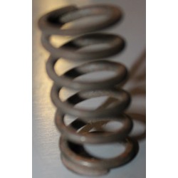 Junior Clutch Spring